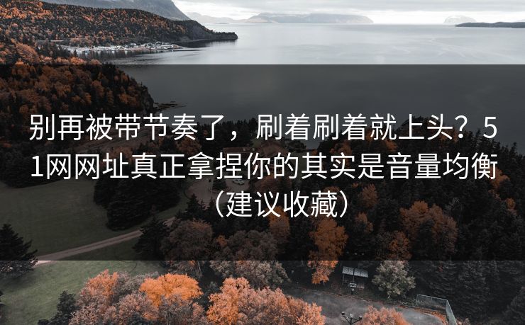 别再被带节奏了，刷着刷着就上头？51网网址真正拿捏你的其实是音量均衡（建议收藏）